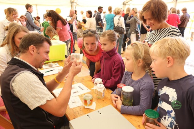 Fliegen retten in Deppendorf.