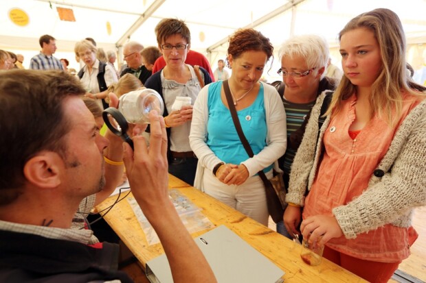 Fliegen retten in Deppendorf.