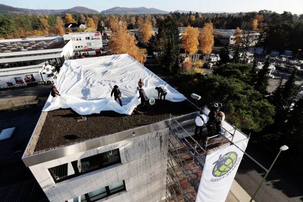 Enthllung der ersten Insekten Ausgleichsflche der Welt. Teil der Aktion „Fliegen retten“ fr die Firma Reckhaus in Bielefeld. Auf dem Dach der Firma Reckhaus sind 200 Quadratmeter Ausgleichsflche geschaffen worden.Das schweizer Knstlerduo „Atelier fr Sonderaufgaben“ Frank und Patrik Riklin haben die Aktion initiiert.