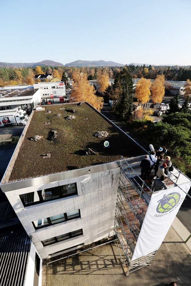 Enthllung der ersten Insekten Ausgleichsflche der Welt. Teil der Aktion „Fliegen retten“ fr die Firma Reckhaus in Bielefeld. Auf dem Dach der Firma Reckhaus sind 200 Quadratmeter Ausgleichsflche geschaffen worden.Das schweizer Knstlerduo „Atelier fr Sonderaufgaben“ Frank und Patrik Riklin haben die Aktion initiiert.