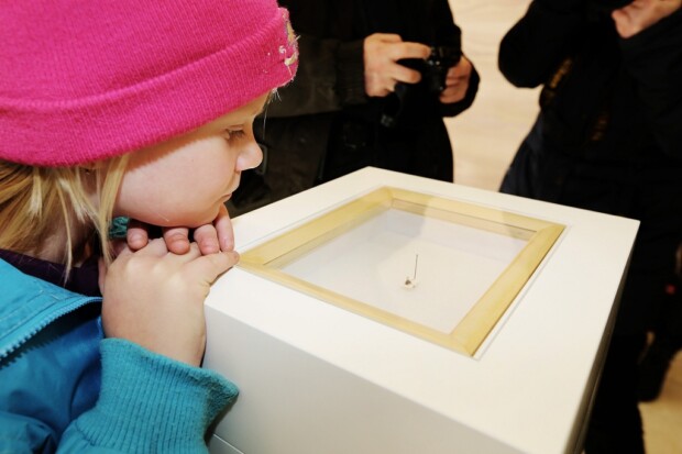 Enthllung der ersten Insekten Ausgleichsflche der Welt. Teil der Aktion „Fliegen retten“ fr die Firma Reckhaus in Bielefeld. Auf dem Dach der Firma Reckhaus sind 200 Quadratmeter Ausgleichsflche geschaffen worden.Das schweizer Knstlerduo „Atelier fr Sonderaufgaben“ Frank und Patrik Riklin haben die Aktion initiiert.